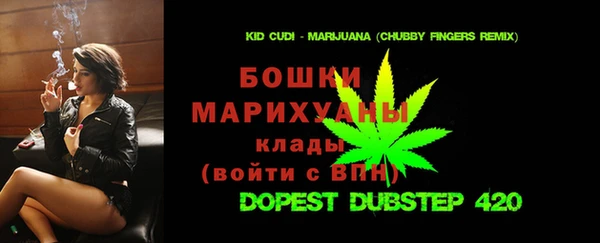 гидра Балахна