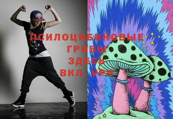 гидра Балахна
