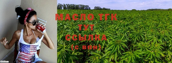 PSILOCYBIN Балабаново