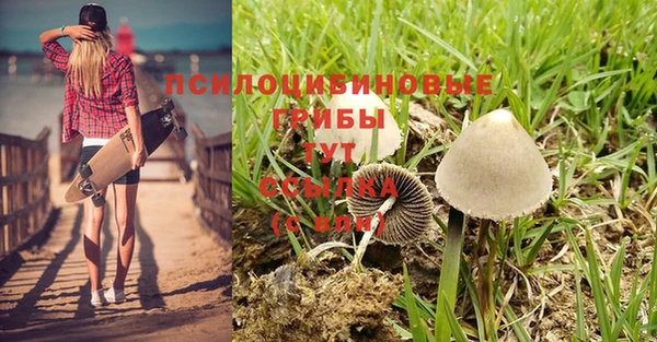 гидра Балахна