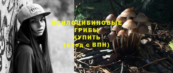 PSILOCYBIN Балабаново