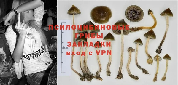 PSILOCYBIN Балабаново