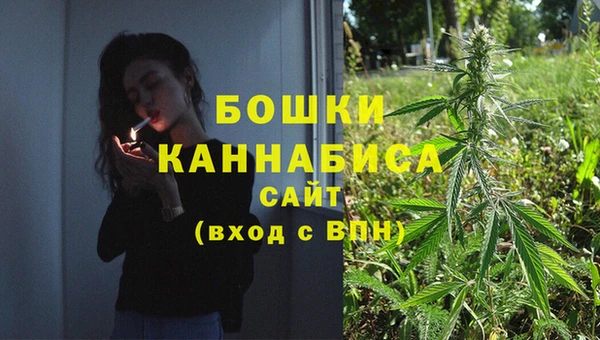гидра Балахна