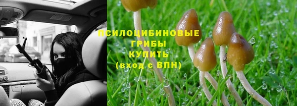 гидра Балахна